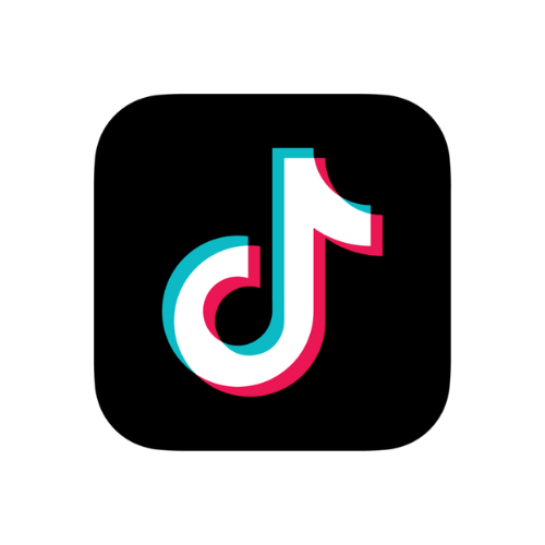 TikTok Influencer Promotion